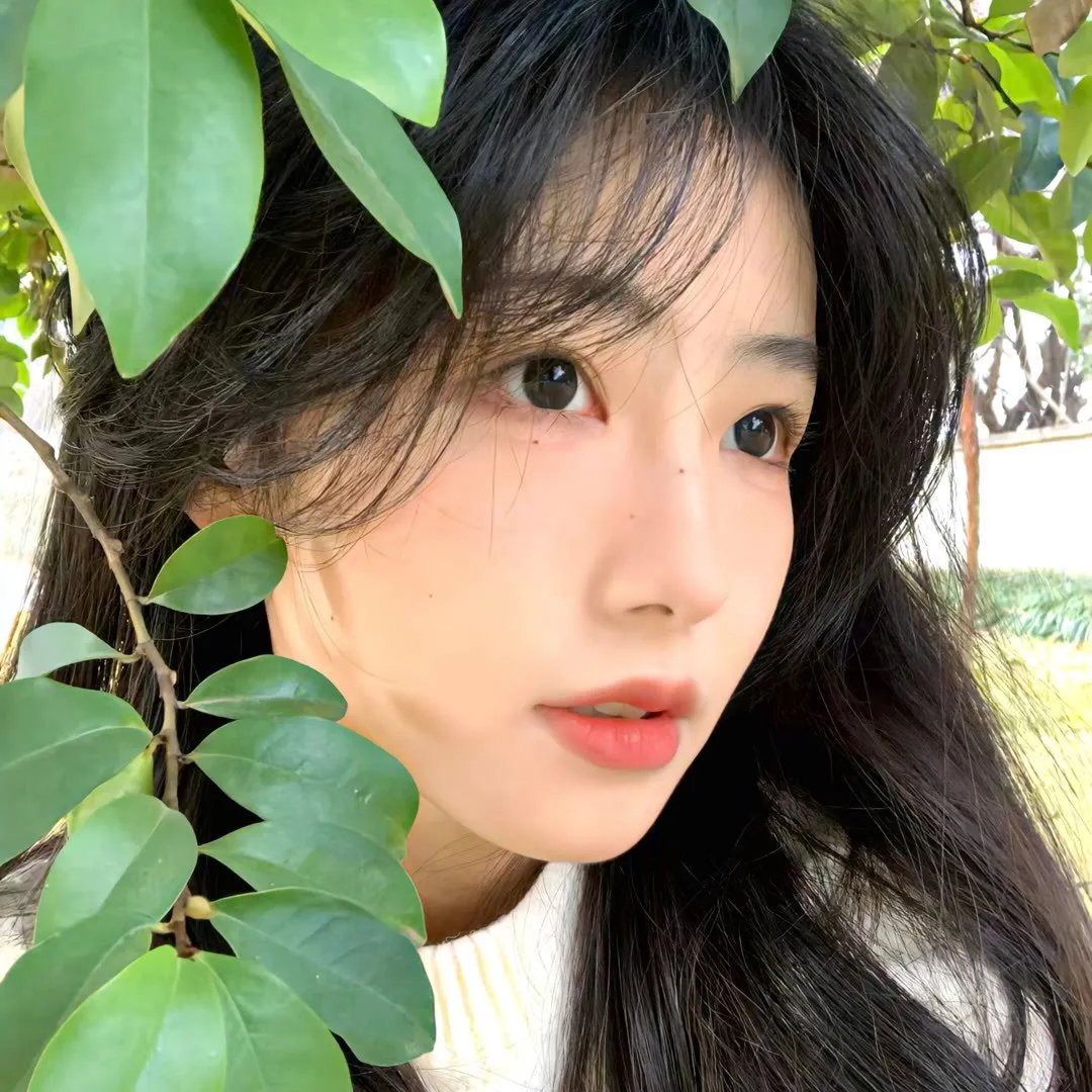 苏州河